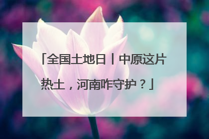 全国土地日丨中原这片热土，河南咋守护？