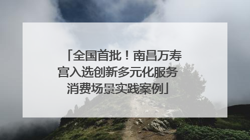全国首批！南昌万寿宫入选创新多元化服务消费场景实践案例