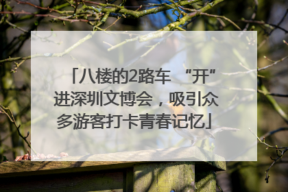 八楼的2路车 “开” 进深圳文博会，吸引众多游客打卡青春记忆