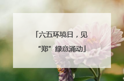 六五环境日，见“郑”绿意涌动
