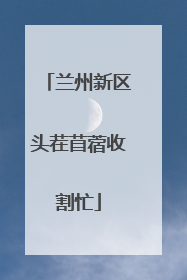 兰州新区头茬苜蓿收割忙