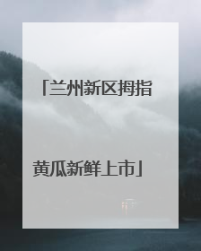 兰州新区拇指黄瓜新鲜上市