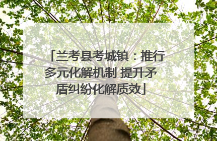 兰考县考城镇：推行多元化解机制 提升矛盾纠纷化解质效