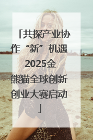 共探产业协作“新”机遇 2025金熊猫全球创新创业大赛启动