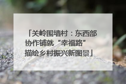 关岭围墙村：东西部协作铺就“幸福路” 描绘乡村振兴新图景