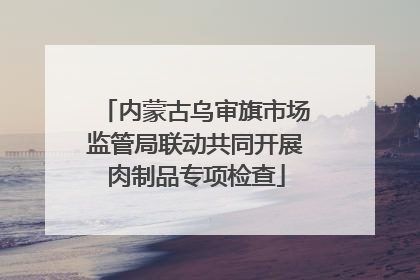 内蒙古乌审旗市场监管局联动共同开展肉制品专项检查