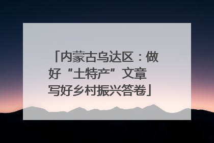 内蒙古乌达区：做好“土特产”文章 写好乡村振兴答卷