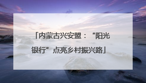内蒙古兴安盟：“阳光银行”点亮乡村振兴路