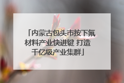 内蒙古包头市按下氟材料产业快进键 打造千亿级产业集群