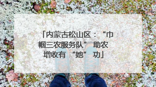 内蒙古松山区：“巾帼三农服务队” 助农增收有 “她” 功