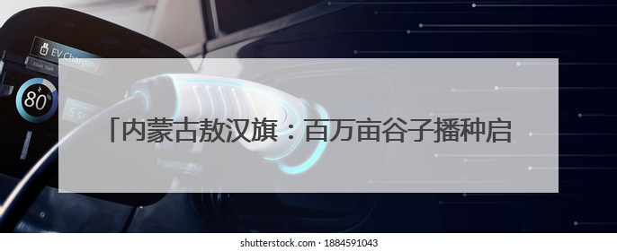 内蒙古敖汉旗：百万亩谷子播种启幕 续写“世界小米之乡”辉煌
