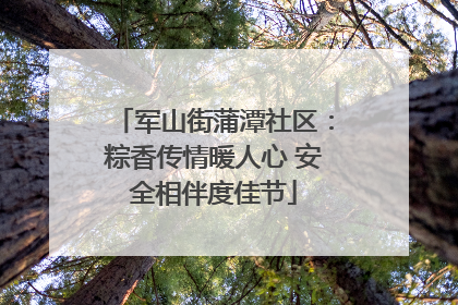 军山街蒲潭社区：粽香传情暖人心 安全相伴度佳节