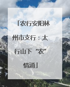 农行安阳林州市支行：太行山下“农”情涌