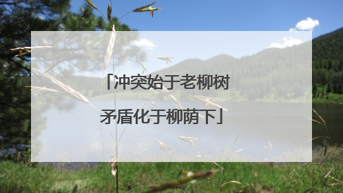 冲突始于老柳树 矛盾化于柳荫下