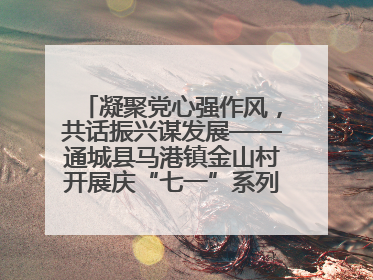 凝聚党心强作风，共话振兴谋发展——通城县马港镇金山村开展庆“七一”系列庆祝活动