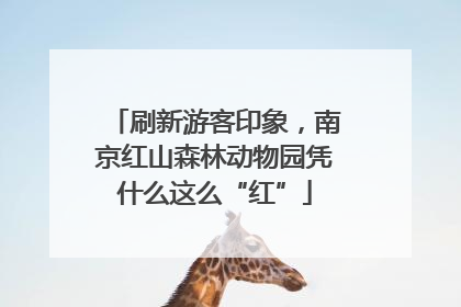 刷新游客印象，南京红山森林动物园凭什么这么“红”