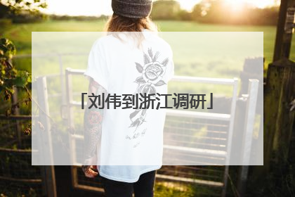刘伟到浙江调研