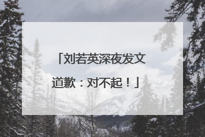 刘若英深夜发文道歉：对不起！