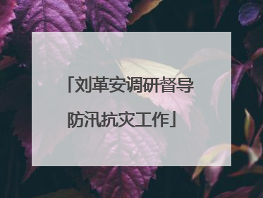 刘革安调研督导防汛抗灾工作