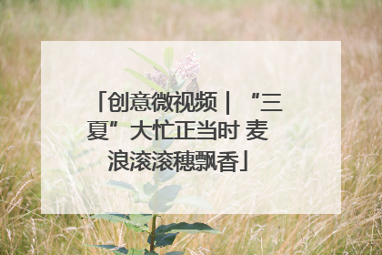 创意微视频｜“三夏”大忙正当时 麦浪滚滚穗飘香
