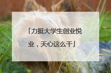 力挺大学生创业悦业，天心这么干