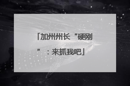 加州州长“硬刚”：来抓我吧