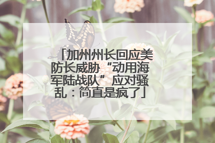 加州州长回应美防长威胁“动用海军陆战队”应对骚乱：简直是疯了
