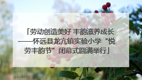 劳动创造美好 丰韵滋养成长——怀远县龙亢镇实验小学“悦劳丰韵节”闭幕式圆满举行