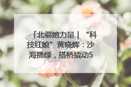 北疆她力量｜“科技红娘”黄晓辉：沙海播绿，搭桥撬动5.3亿研发
