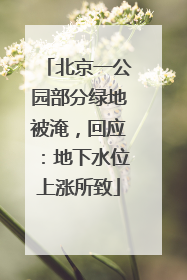 北京一公园部分绿地被淹，回应：地下水位上涨所致