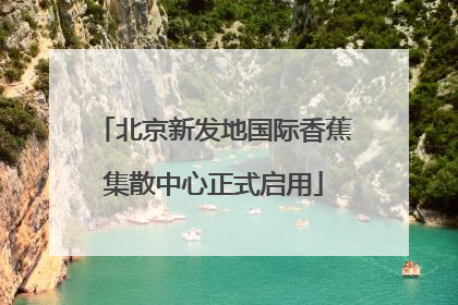 北京新发地国际香蕉集散中心正式启用
