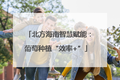 北方海南智慧赋能：葡萄种植“效率+”