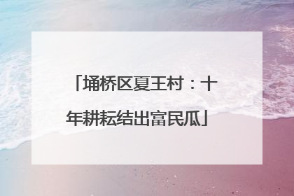 埇桥区夏王村：十年耕耘结出富民瓜