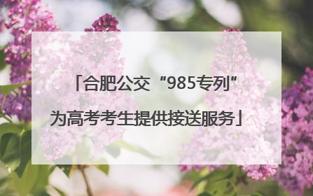 合肥公交“985专列”为高考考生提供接送服务