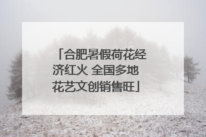 合肥暑假荷花经济红火 全国多地花艺文创销售旺
