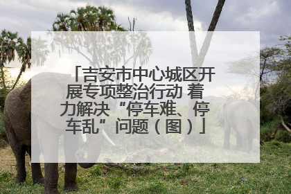 吉安市中心城区开展专项整治行动 着力解决“停车难、停车乱”问题（图）