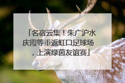 名宿云集！朱广沪水庆霞等重返虹口足球场，上演绿茵友谊赛