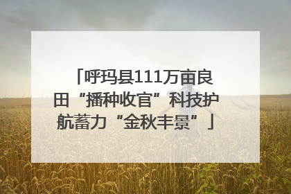 呼玛县111万亩良田“播种收官”科技护航蓄力“金秋丰景”