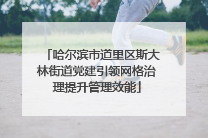 哈尔滨市道里区斯大林街道党建引领网格治理提升管理效能