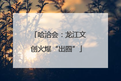 哈洽会：龙江文创火爆“出圈”