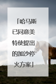 哈马斯已同意美特使提出的加沙停火方案
