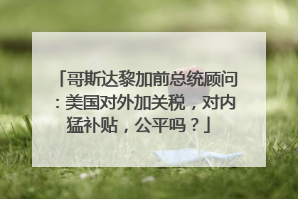 哥斯达黎加前总统顾问：美国对外加关税，对内猛补贴，公平吗？