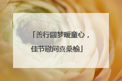 善行圆梦暖童心，佳节慰问喜桑榆