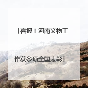 喜报！河南文物工作获多项全国表彰