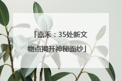 嘉禾：35处新文物点揭开神秘面纱