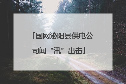 国网泌阳县供电公司闻“汛”出击