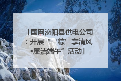 国网泌阳县供电公司：开展“‘粽’享清风 •廉洁端午”活动