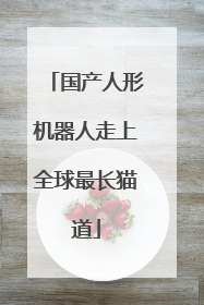 国产人形机器人走上全球最长猫道