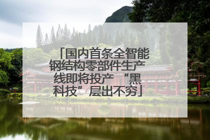 国内首条全智能钢结构零部件生产线即将投产 “黑科技”层出不穷