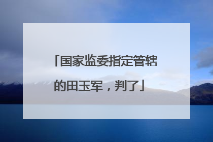 国家监委指定管辖的田玉军，判了